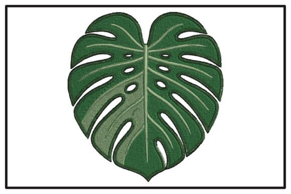 Detailed Monstera Leaf: A Tropical Elegance